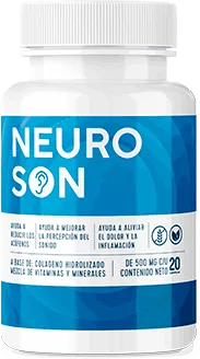 Neuroson